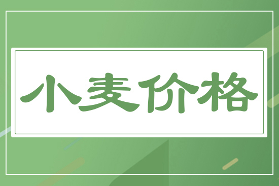 2025年7月25日國(guó)內(nèi)小麥價(jià)格行情報(bào)價(jià)
